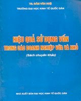 Hiệu quả sử dụng vốn trong các doanh nghiệp vừa và nhỏ (sách chuyên khảo)