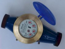 Đồng hồ đo đa tia Kiểu cánh quạt Merlion LXS40 (DN 40)