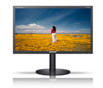 Samsung SyncMaster B2440M 24 inch