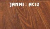 Sàn gỗ siêu chịu nước JANMII 12