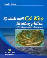 Kỹ thuật nuôi cá kèo thương phẩm