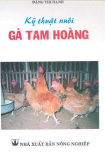 Kỹ thuật nuôi gà tam hoàng 