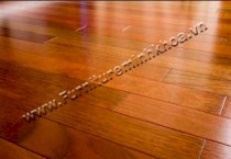 Sàn gỗ tự nhiên SGTN001