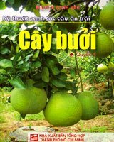 Kỹ thuật canh tác cây ăn trái - cây cam quýt (quyển 1 )