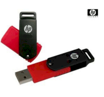 HP v190w 16GB