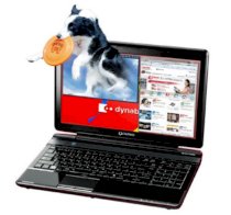 Toshiba Qosmio T851 (Intel Core i5-2410M 2.3GHz, 8GB RAM, 750GB HDD, VGA NVIDIA GeForce GT 540M, 15.6 inch, Windows 7 Home Premium 64 bit)