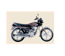 Tianma TM125 (23) 125cc 2010