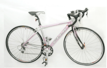 Xe đạp đua Fuji Finest 2.0