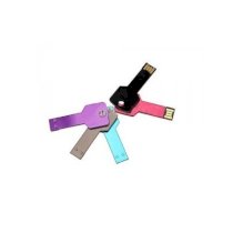USB Platic 2GB hình chìa khóa