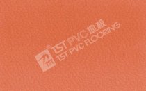 Sàn vinyl thể thao TST PVC-20