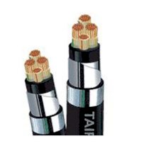 Cáp điện lực hạ thế TAIPHACO CXV/DSTA 3x95+1x70