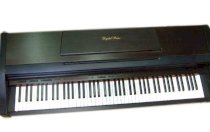 Kawai PW-800