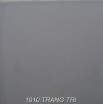 Gạch Đồng Tâm 101 trang trí