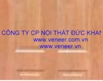 Cửa veneer C020