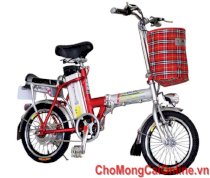 Xe đạp điện Nam ÁTDR206Z(16)