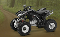 Honda ATV sport TRX250X 2012