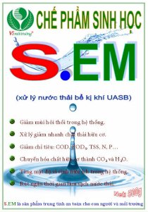 Vi sinh S.EM xử lý chất thải hữu cơ trong nước thải bể kị khí UASB