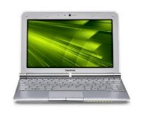 Toshiba NB305-N440 White  (Intel Atom N455 1.66GHz, 1GB RAM, 250GB HDD, VGA Intel GMA 3150, 10.1 inch, Windows 7 Starter 32 bit)