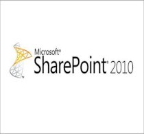 Microsoft Office SharePoint Internet Sites Stantard 2010 OLP 