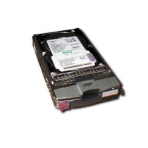 Hewlett Packard (364622B22) 300 GB Fibre Channel Hard Drive