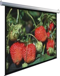 Màn chiếu điện Dinon ELV360 180inch