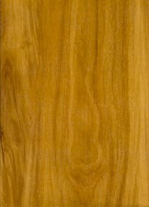 Sàn gỗ mặt bóng Kronomax 6465