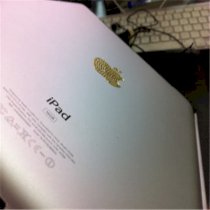 Apple iPad 2 Diamond Gold 16GB iOS 4 WiFi 3G 
