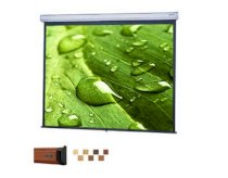 Màn chiếu điện treo tường Dalite 4DAL 77290 180inch