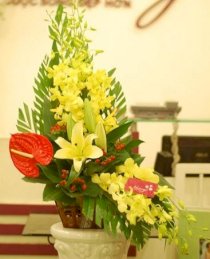 Hoa để bàn chúc mừng HTA-CM16