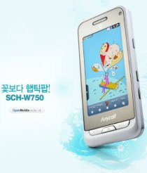 Unlock Samsung Anycall SCH-W750