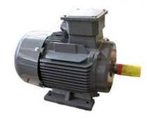 Motor mặt bích TECO AEUV 2P-0.25HP