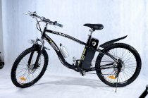 xe đạp điện NTB 211-12M