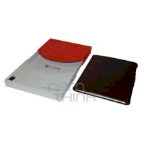 Bao da ipad 2 Icarer Honorable series