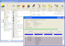 Internet Download Manager v6.07 build 11