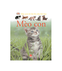 Mèo con 