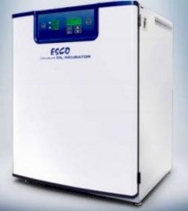Tủ ấm nuôi cấy CO2 Esco CCL- 170A- 8