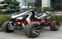 JinLing Racing ATV JLA-13A-1-01 2012