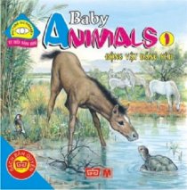 Baby Animals1 - Những động vật đáng yêu1 