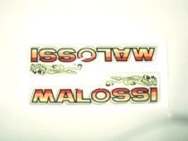 Tem Malossi 1079
