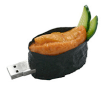 PRETEC i-Disk Sushi (Urchin) SUI04G-A 4GB