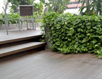 Sàn nhựa BoisDeck Pool Deck Series