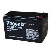 Ắc quy Phoenix 12V-12Ah (TS12120)