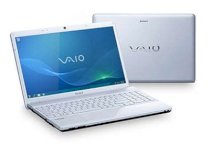 Sony Vaio VPC-YB35AG/W (AMD Dual-Core E-450 1.65GHz, 2GB RAM, 320GB HDD, VGA AMD Radeon HD 6320M, 11.6 inch, Windows 7 Starter)