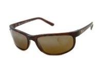 Authentic Ray Ban SungLasses RB 2027 Polarized Brown 628/W2 