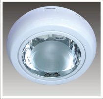 Ceiling Lamp Anfaco Lighting AFC309B glass 8.0inch 2E