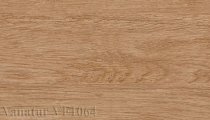 Sàn gỗ Vanatur VF1064 (8mm)