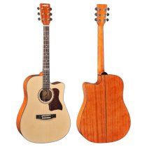 Guitar Acoustic AGW 4115