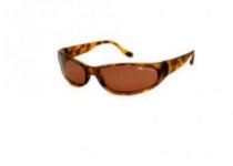 Bolle Sunglasses - Sport: Canebrake / Frame: Dark Tortoise Lens: Polarized Sandstone Gun 