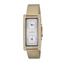 Skagen Women's 21SGG Skagen Denmark Wo Gold Dual Time with Glitz Watch