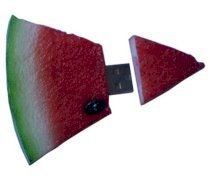 Feetek Watermelon USB Flash Drive FT-1495 2GB